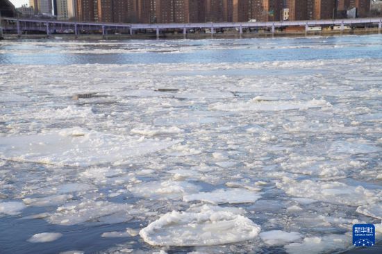这是1月31日在美国纽约拍摄的水上浮冰。新华社记者 张凤国 摄